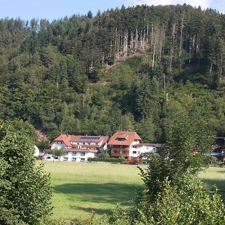 Ferienwohnung Am Rain Winden im Elztal Buitenkant foto