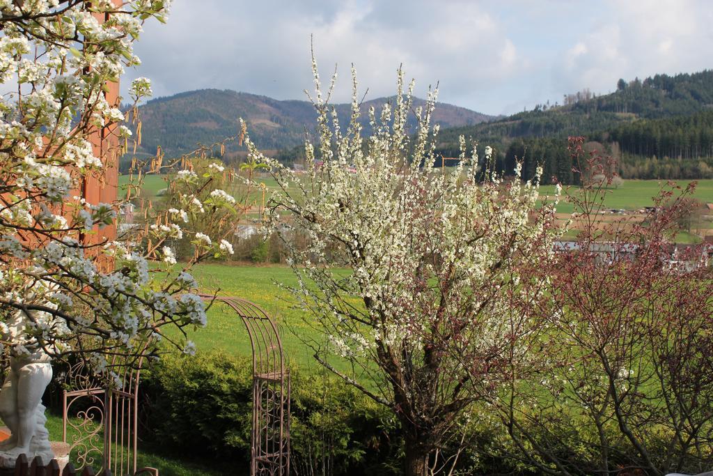 Ferienwohnung Am Rain Winden im Elztal Buitenkant foto