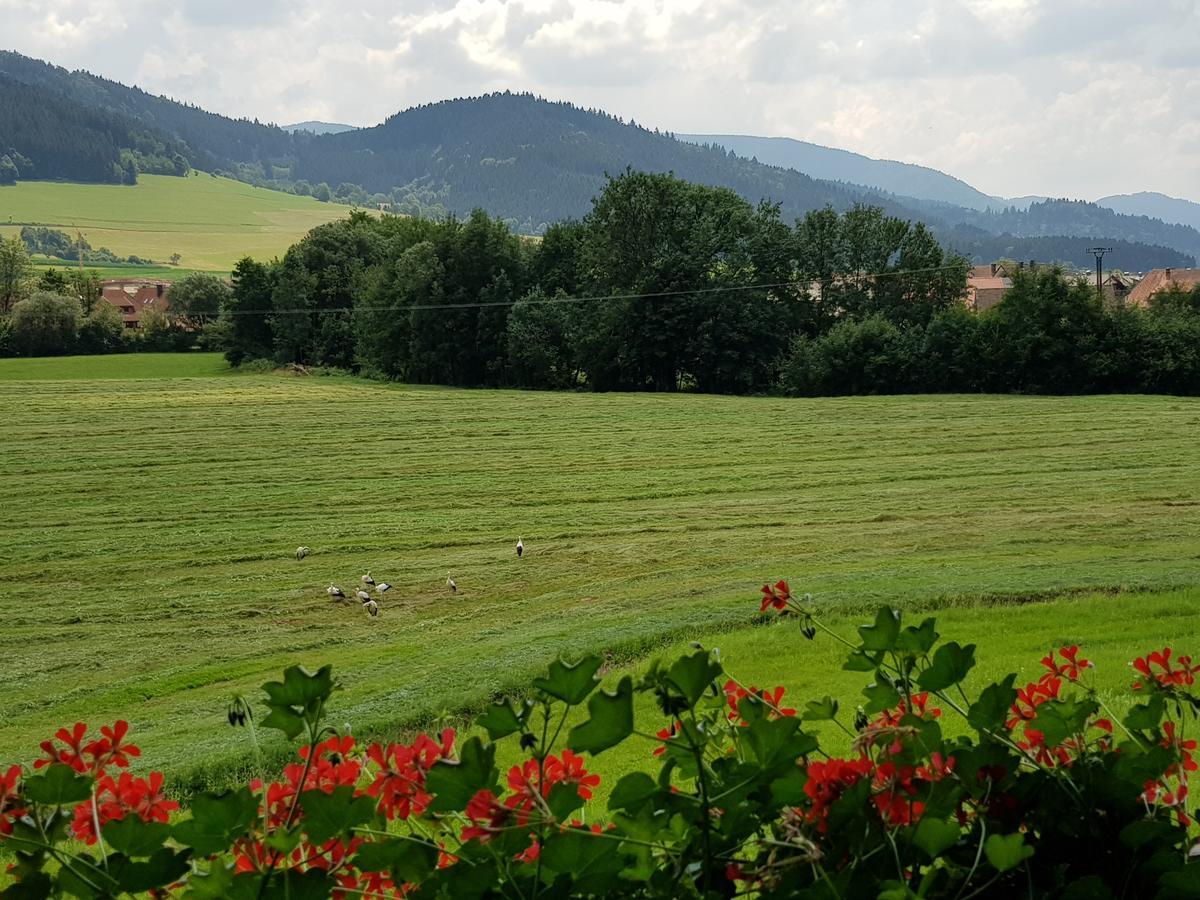 Ferienwohnung Am Rain Winden im Elztal Buitenkant foto